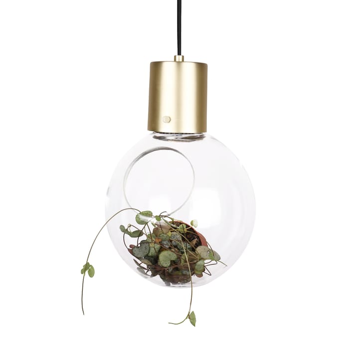 Mini Hole hanglamp - helder-messing - Globen Lighting