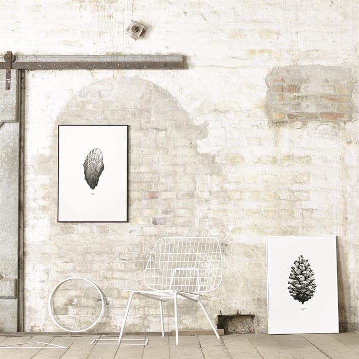 1:1 Oyster poster - 50 x 70 cm. - Paper Collective
